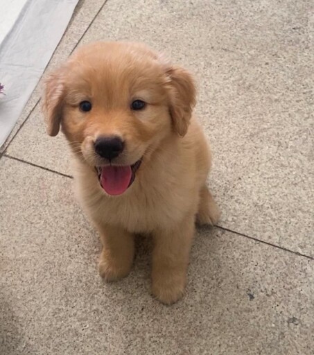 Cute smile