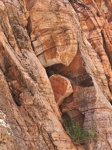an owl hiding in a crevice between large red rocks in a desert canyon